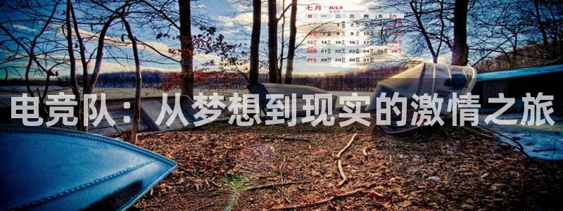 米兰电竞网站人口