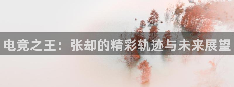 米兰电竞体育：电竞之王：张却的精彩轨迹与未来展望