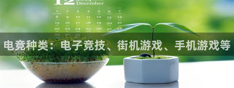 米兰电竞体育：电竞种类：电子竞技、街机游戏、手机游戏等