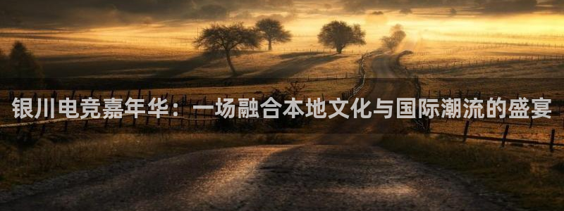 米兰电竞app下载：银川电竞嘉年华：一场融合本地文化与国际潮流的盛宴