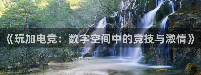 米兰电竞首页：《玩加电竞：数字空间中的竞技与激情》
