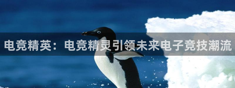 米兰电竞首页：电竞精英：电竞精灵引领未来电子竞技潮流