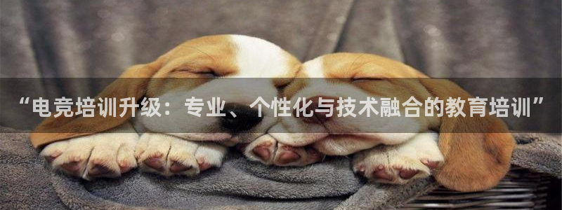 米兰电竞登录入口
